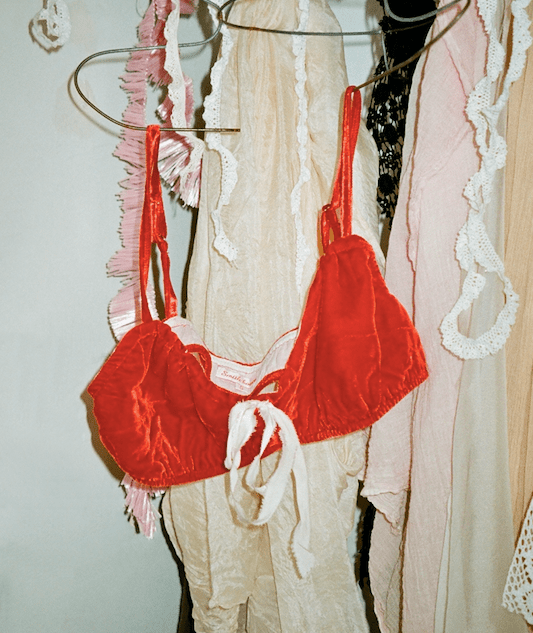 Passion Bra and Pantie Set in Vintage Silk Velvet