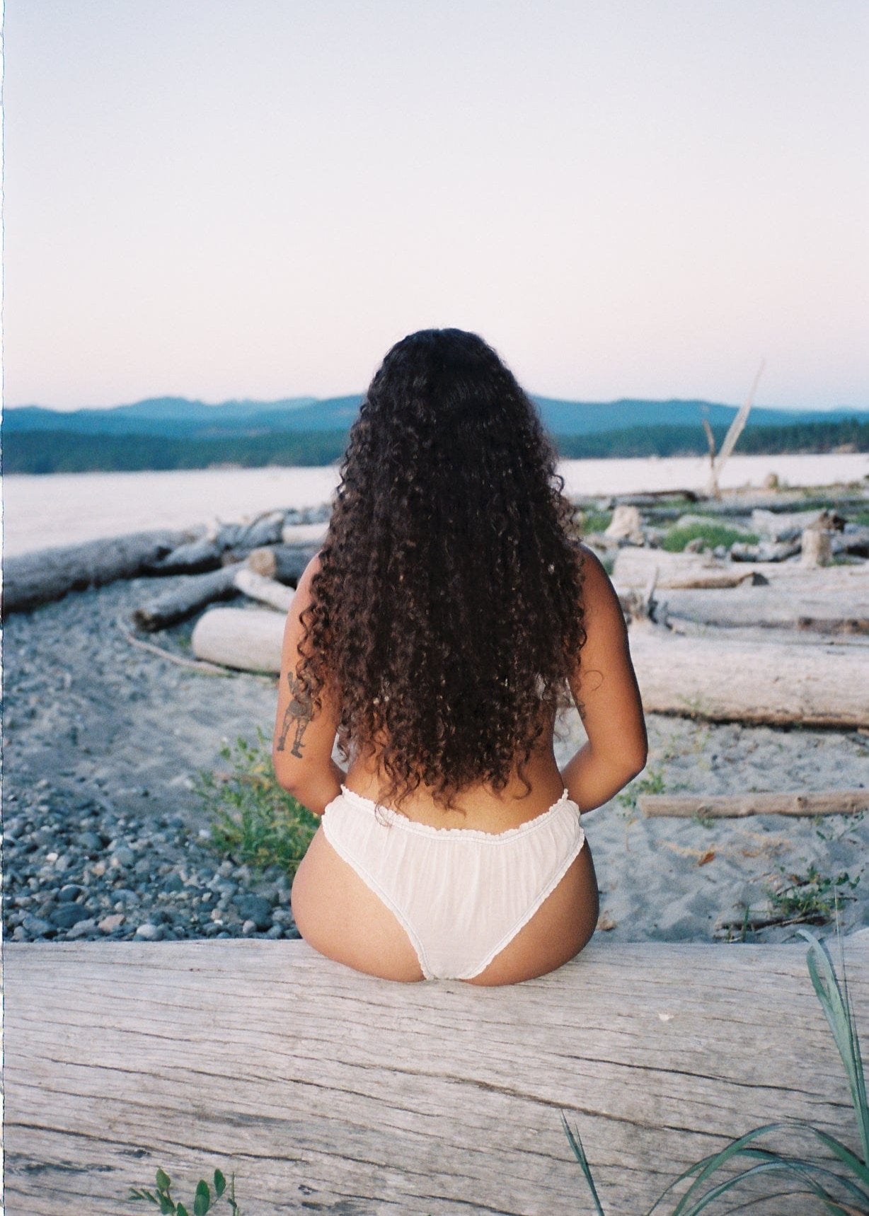 Moon Dust Low Waist Pantie